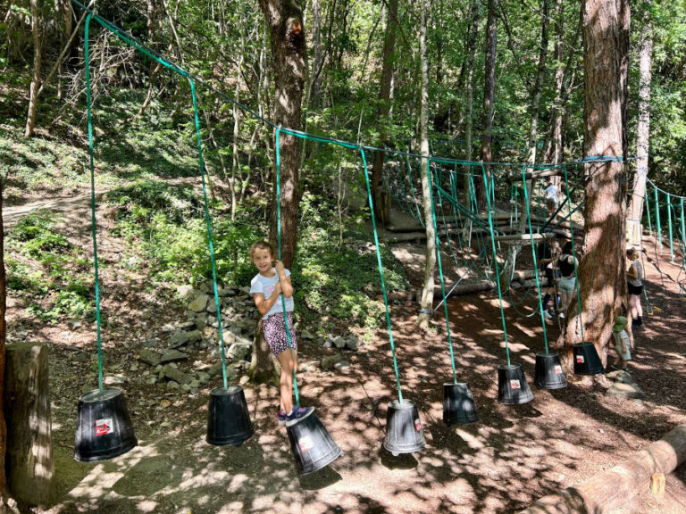percorso avventura nel bosco