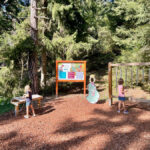 bambine che giocano nel bosco