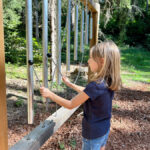 gioco sonoro nel bosco