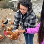Tantissime galline vivono felici da Agrisalus, in ampi spazi aperti e con un ricovero per la notte.