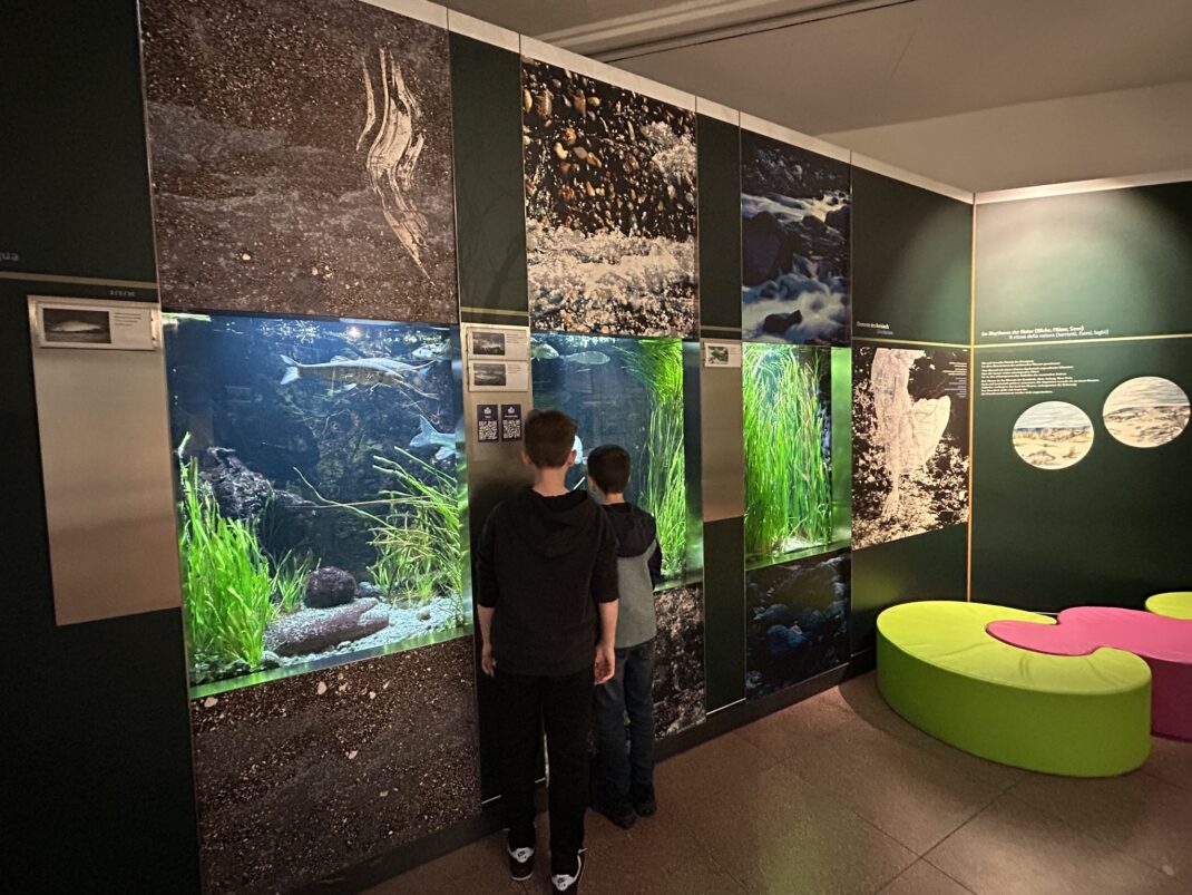 Bolzano attività family al museo Il Trentino dei Bambini