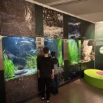 Una delle principali attrattive del Museo di Scienze Naturali di Bolzano sono gli acquari.