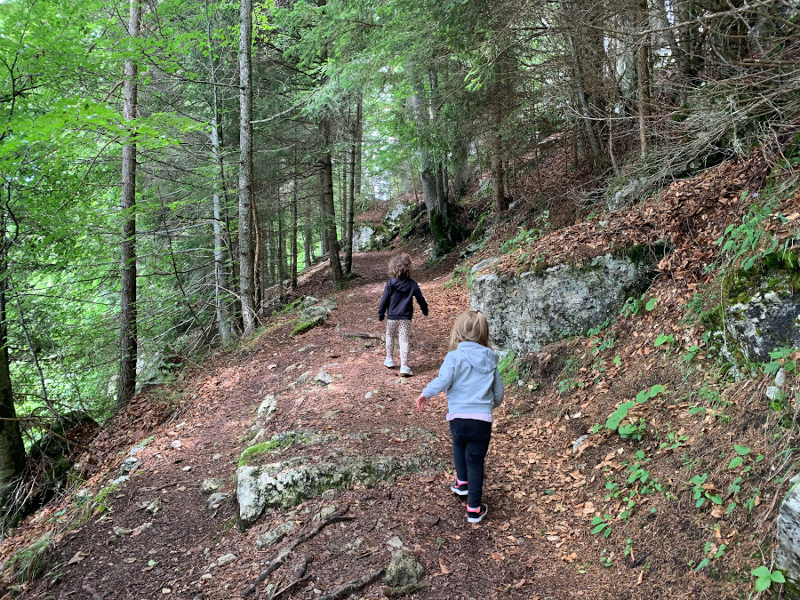 bambine che camminano nel bosco