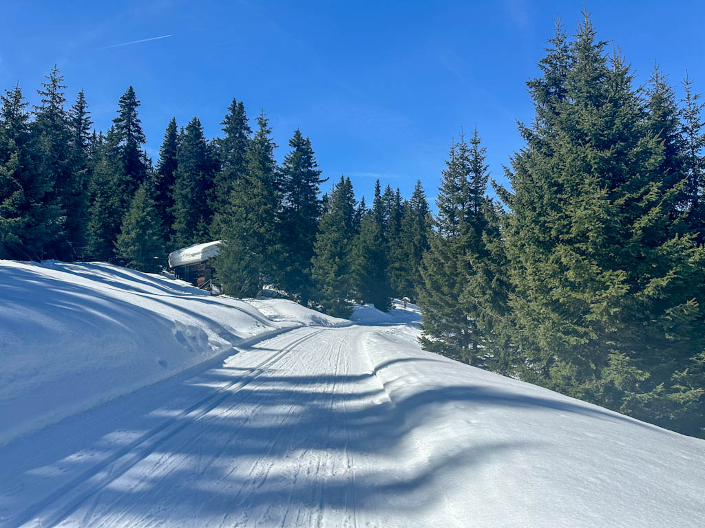 sentiero per Malga Calice