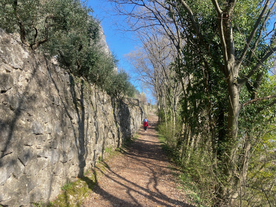 sentiero verso il santuario di Montalbano