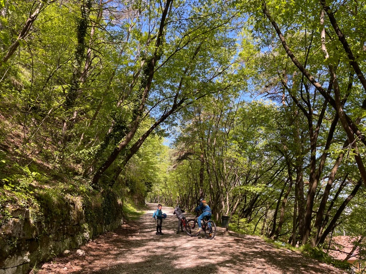 IL Bosco della Città a Trento è un parco ad accesso libero.