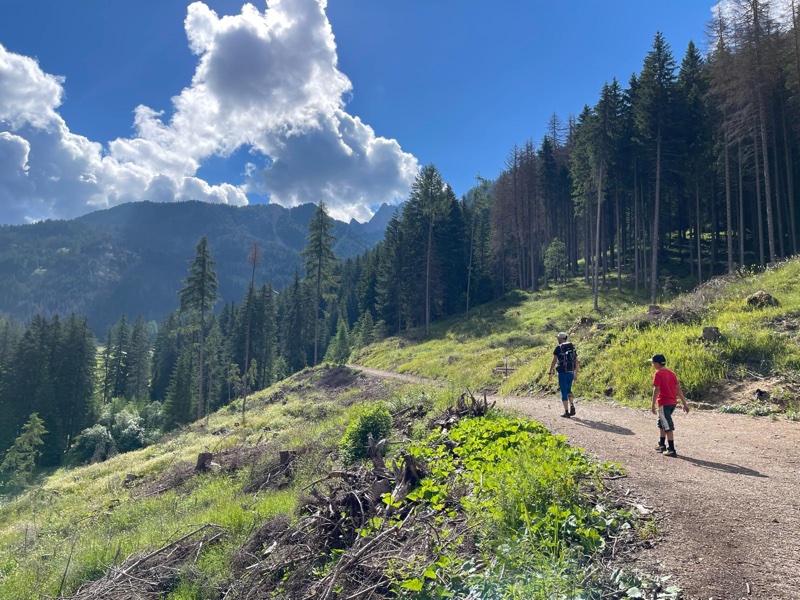 Il sentiero per il Rifugio Taramelli si snoda attraverso la Val Monzoni tra boschi e pascoli