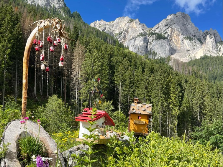 Splendidi scorci si aprono davanti agli occhi camminando verso il Rifugio Taramelli in Val Monzoni