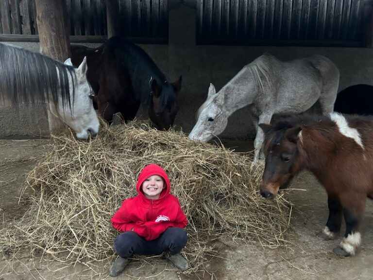 Azienda agricola Gottardi Lara: a cavallo in Val Rendena