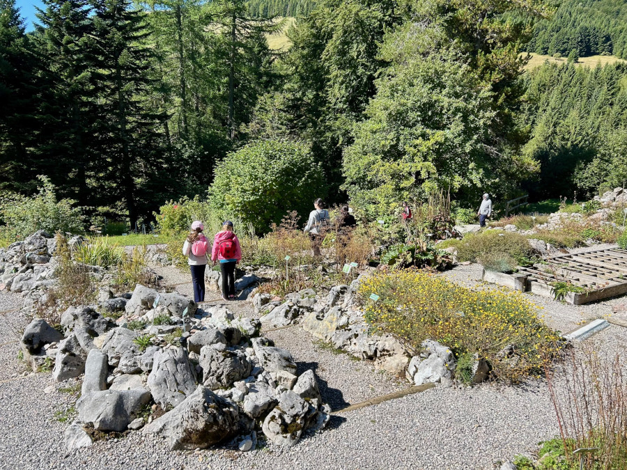 giardino botanico alpino Viote