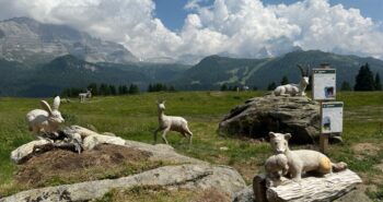 Statue lignee a grandezza naturale raccontano la fauna alpina all'interno del Junior Park