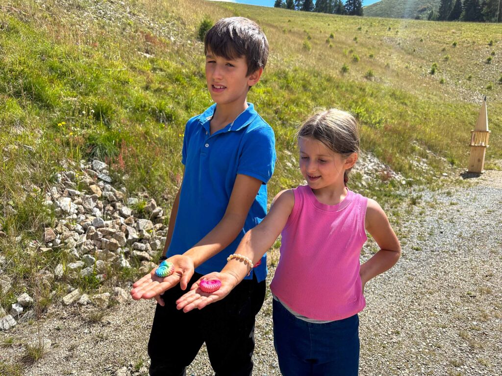 Tira il dado e scopri quale animale dovrai imitare per raggiungere la prossima delle Ammoniti Fantastiche