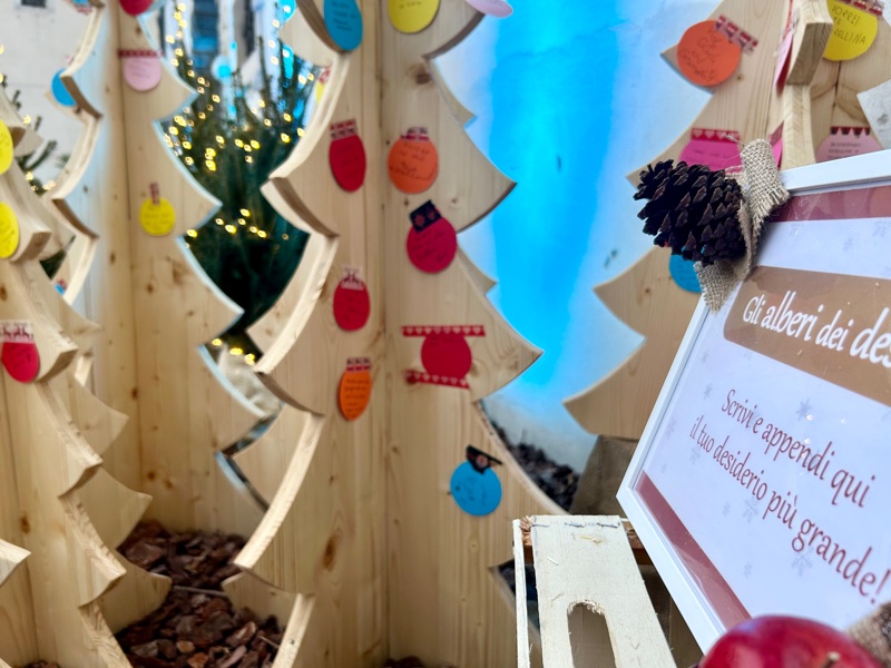 Nella tana dell'orso Pom crescono alberi di tanti tipi: qui si possono appendere i propri desideri