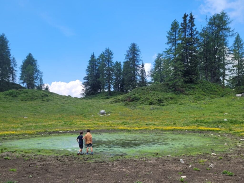 Lungo il sentiero tra il Rifugio Boch e Malga Mondifrà si incontra questo stagno.